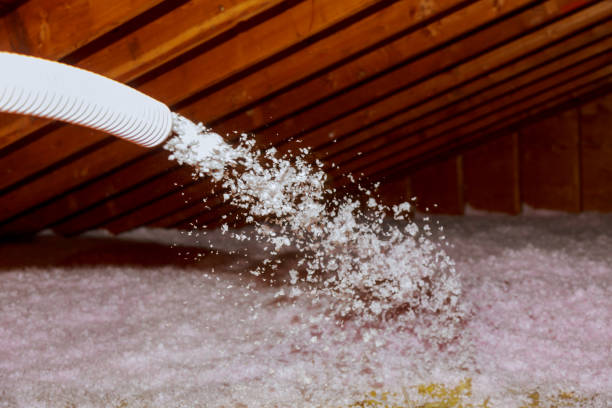 Best Crawl Space Insulation  in Perryton, TX