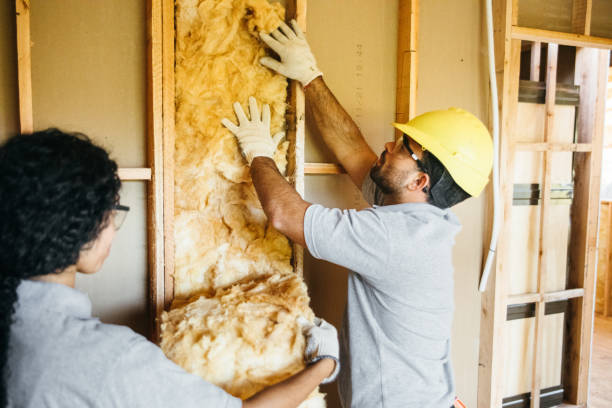 Best Energy-efficient Insulation  in Perryton, TX
